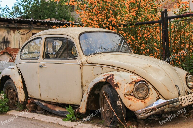 Beetle Volkswagen Vehicle Automobile Vw