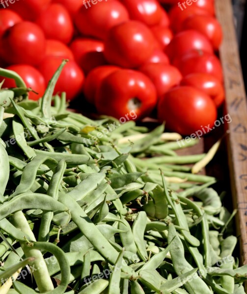 Tomato Green Beans Food Vegetable