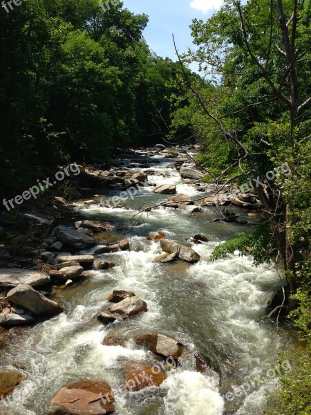 Dupont Forest River Flowing Rapids North Carolina