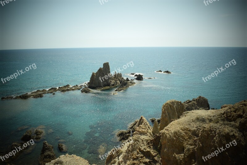 Reef Spain Almeria Mediterranean Sea