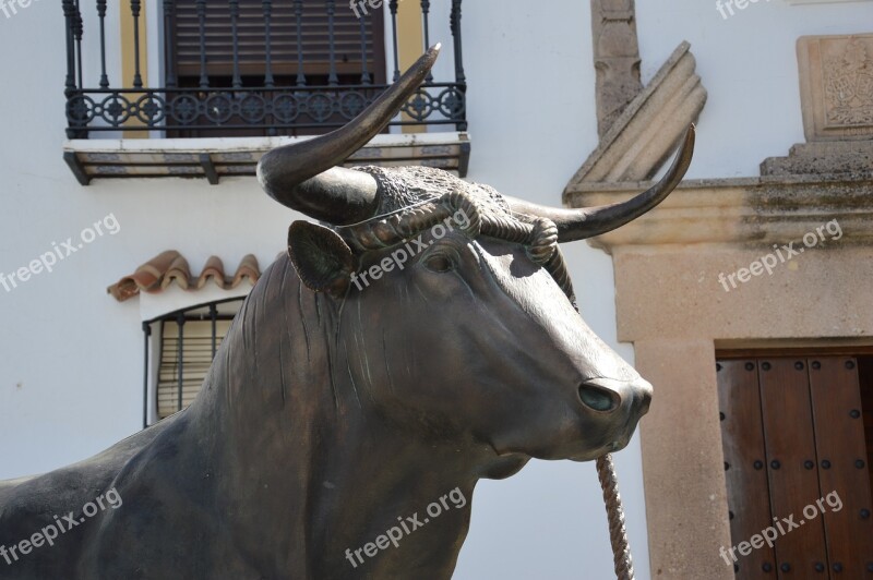 Bull Fighting Bull Monument Spain Summer