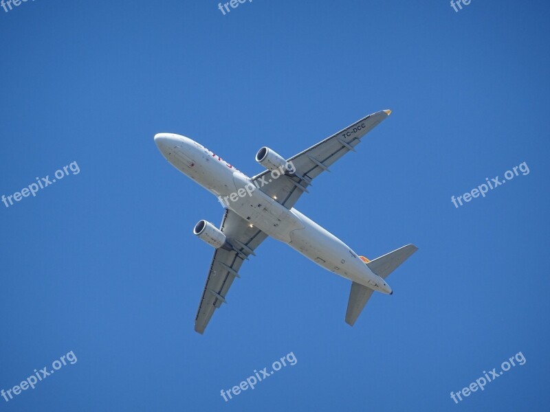 Aircraft Landing Sky Blue Aviation