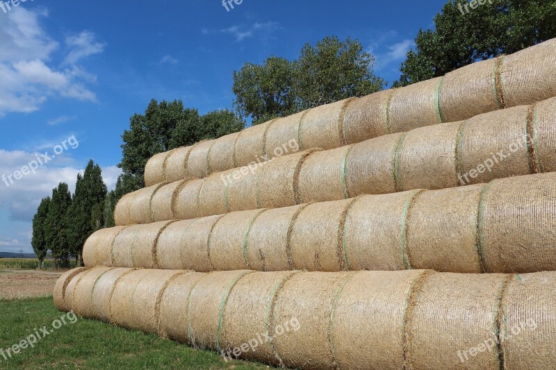 Straw Straw Bales Field Stubble Round Bales