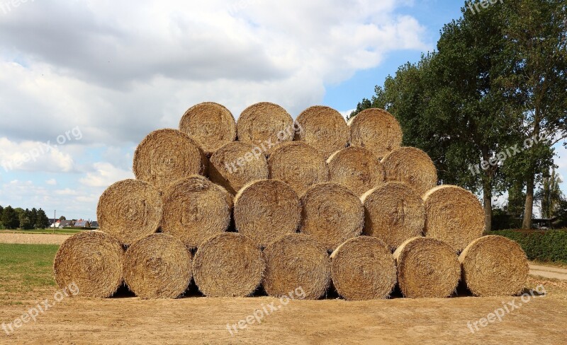 Straw Straw Bales Field Stubble Round Bales