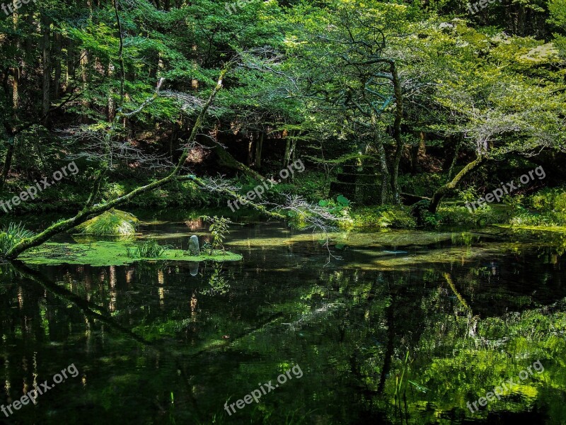 Japan Water Sources Ubuyama Kumamoto Bright Water River