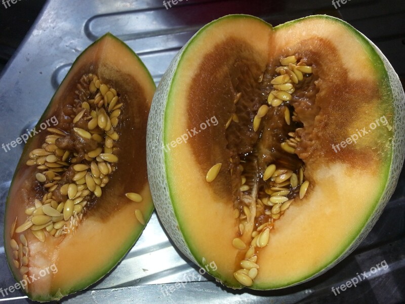 Fruit Rotten Melon Free Photos