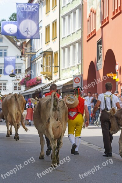 Almabtrieb Désalpe Alp Output Appenzell Customs