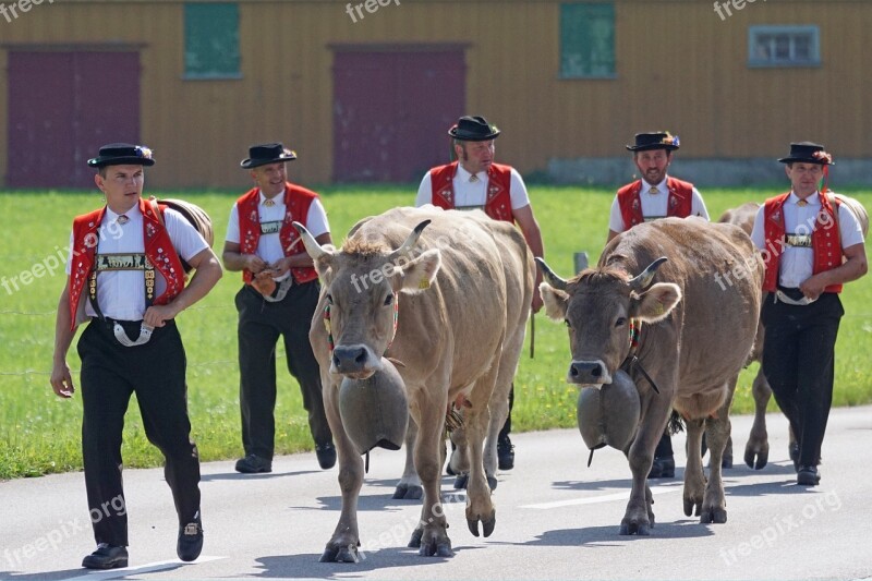 Almabtrieb Désalpe Alp Output Appenzell Customs