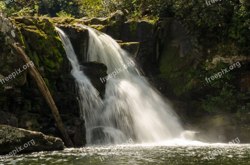 Usa America Nature National Park Great Smoky Mountains