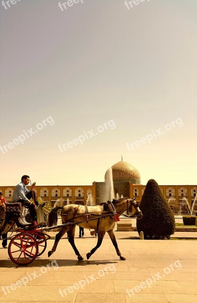 Iran Isfahan Carriage Mosque Tree