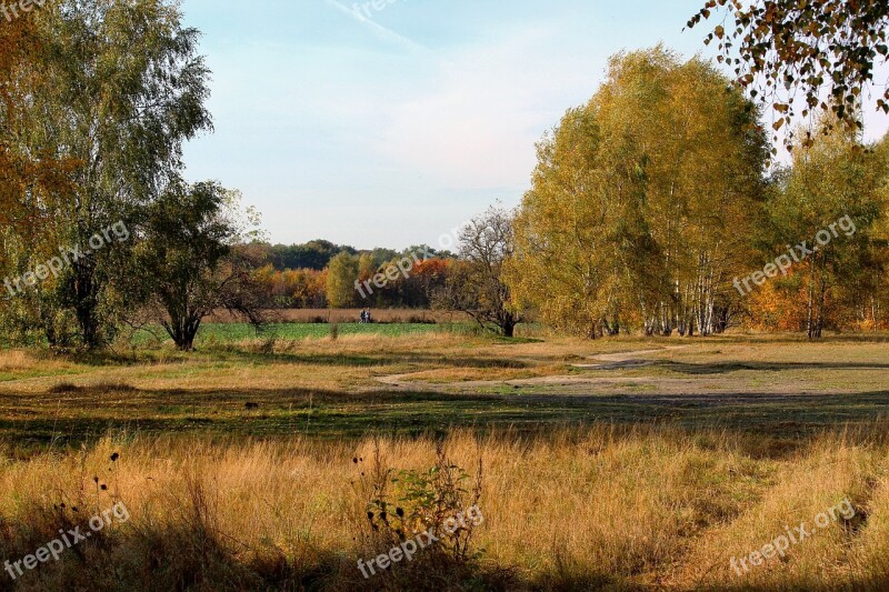 Autumn Autumn Forest Emerge Fall Foliage Fall Color