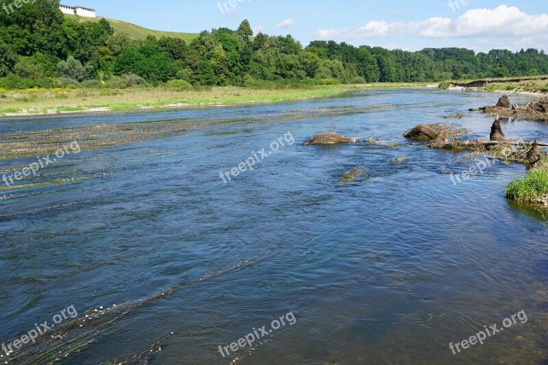 Danube River Water Nature Germany