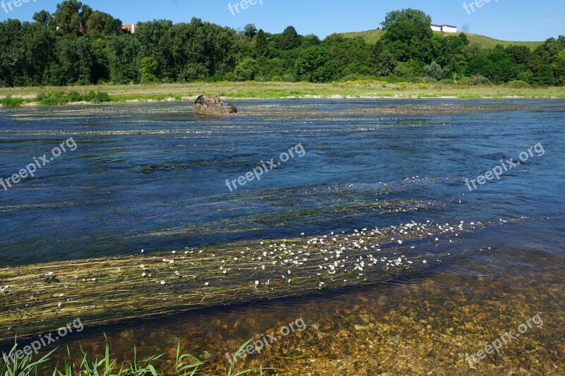 Danube River Water Nature Germany