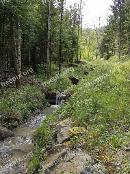 Switzerland Basel-land Eptingen Nature Hiking