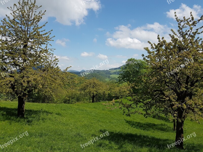 Switzerland Basel-land Eptingen Nature Hiking