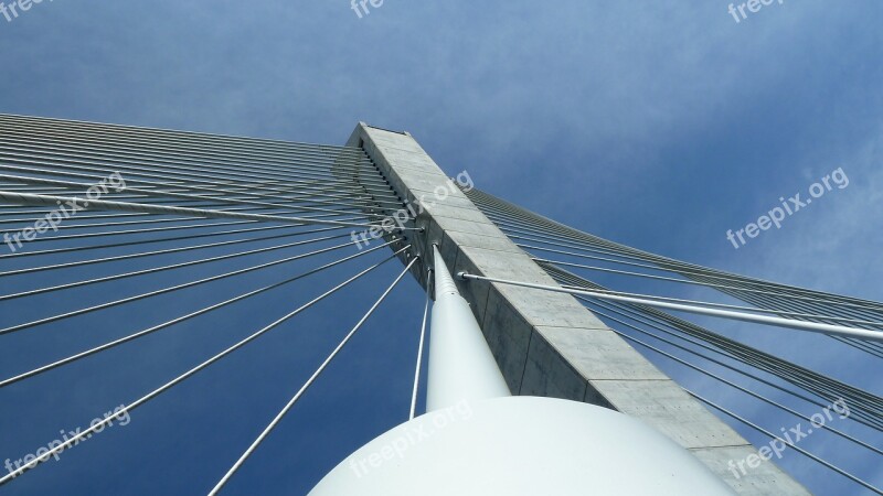 Bridge Suspension Bridge Shrouds Free Photos