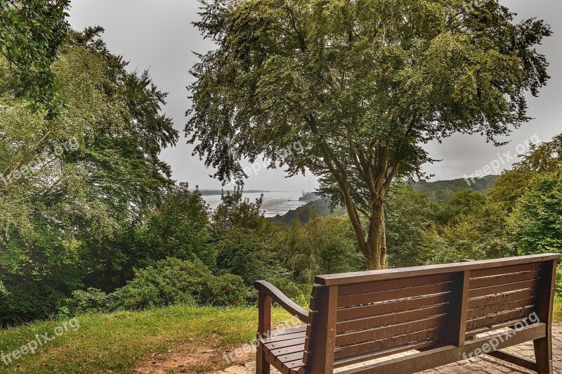 Park Bench Bank Park Seat Green