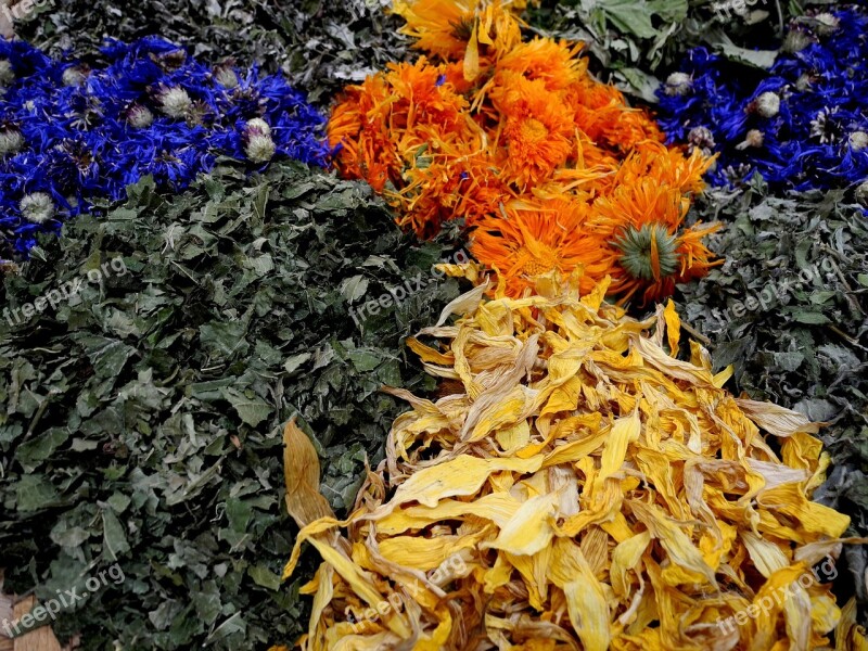 Herbs Foliage Dried Dried Herbs Herb