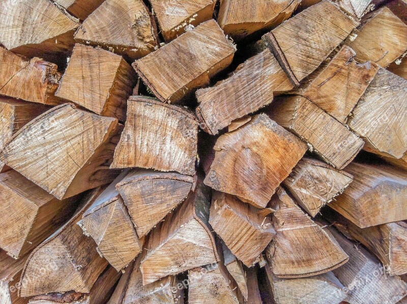 Wood Cut Wood Wood Pile Logs Cup