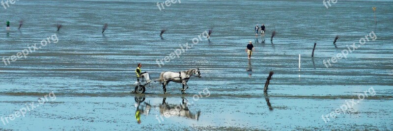 Watts Ebb Flood North Sea Wadden Sea