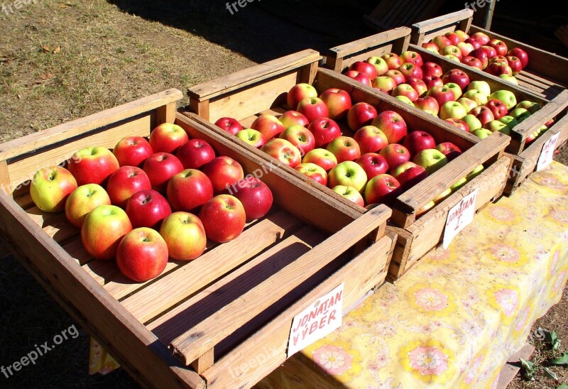 Apples Fruit Apple Fetus Free Photos