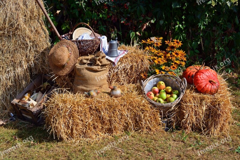 Harvest Harvest Festival Thanksgiving Decoration Autumn Decoration