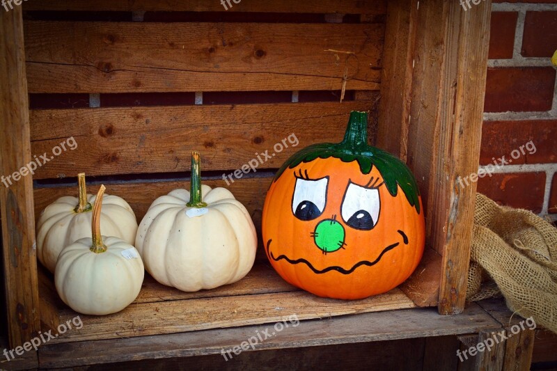 Pumpkin Funny Painted Harvest Time Sale