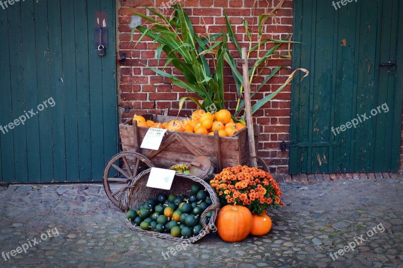 Pumpkin Harvest Time Sale Decoration Benefit From