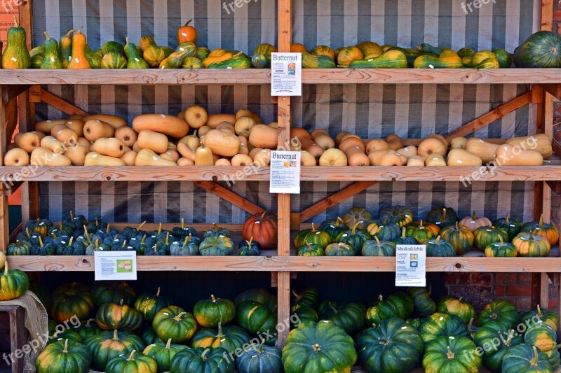 Pumpkin Harvest Time Sale Decoration Benefit From