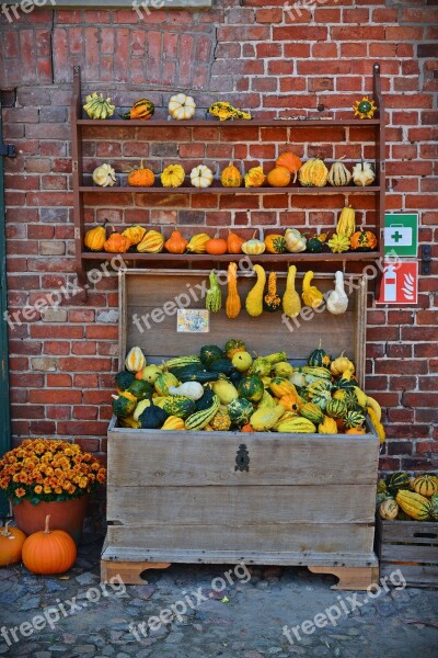 Pumpkin Harvest Time Sale Decoration Benefit From