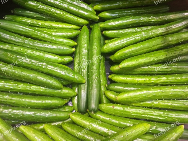 Cucumber Green Vivid Vegetables Department