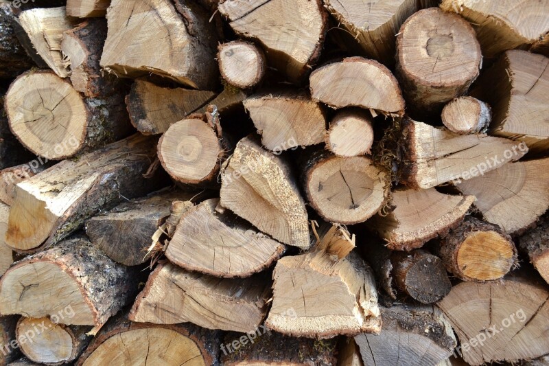 Firewood Logs Wood Pile Heating Slaughter