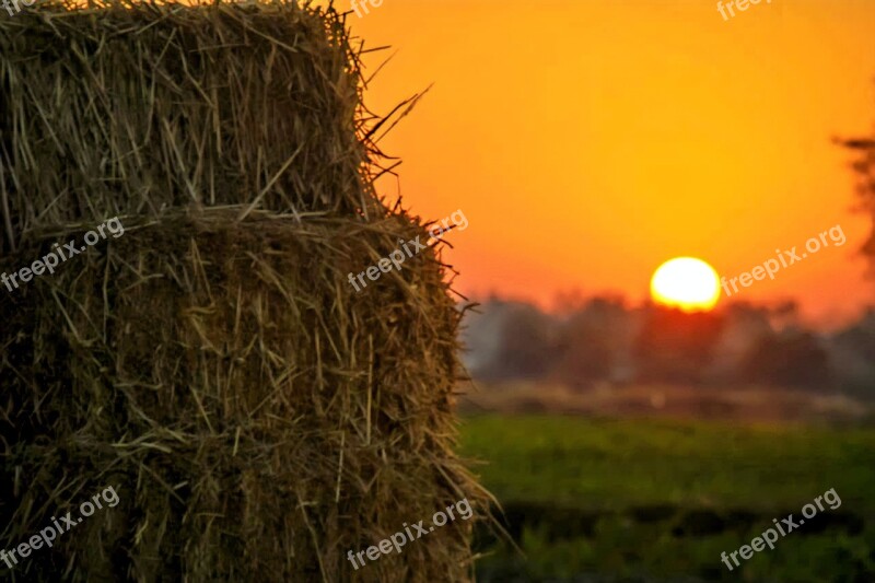 Village Hay Agriculture Wheat Harvest