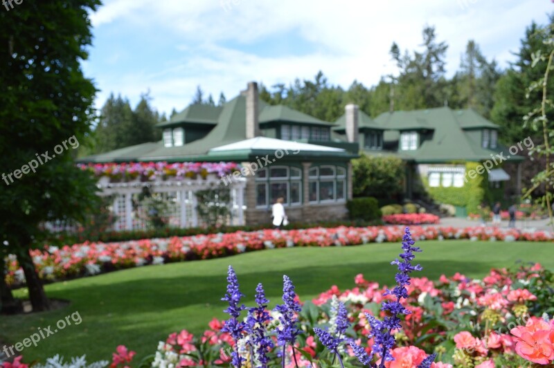 Flowers Butchart Gardens Vancouver Island Victoria Gartenrbeit