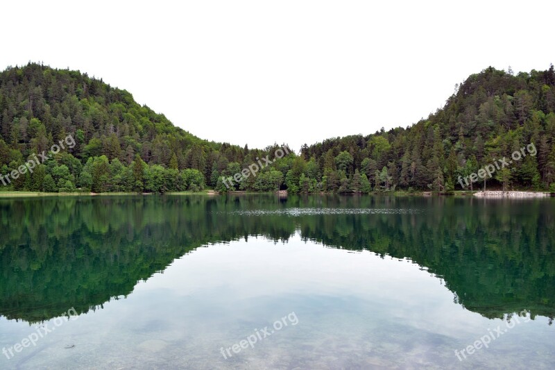 Water Alatsee Allgäu Nature Füssen