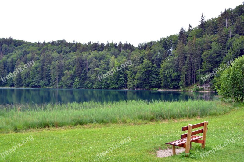 Water Alatsee Allgäu Nature Füssen