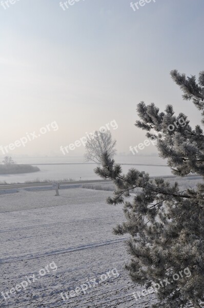 Winter Tree Snow Cold Landscape