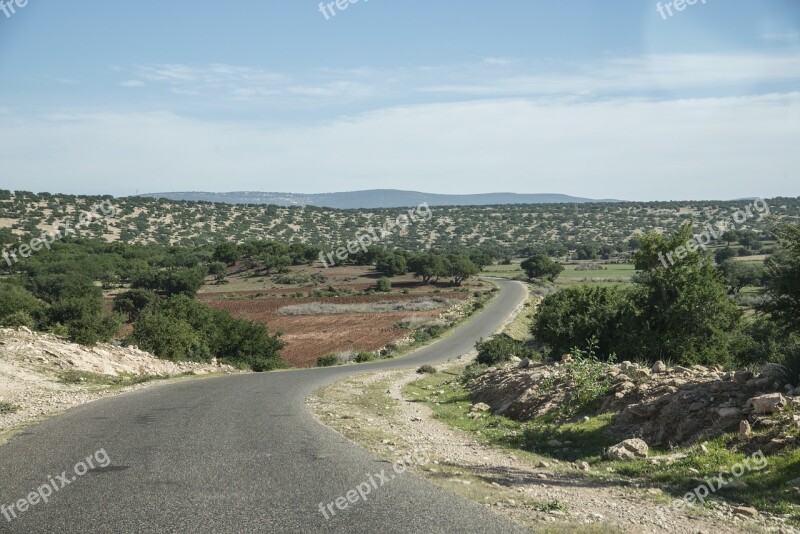 Morocco Road Trees Argan Oil Landscape