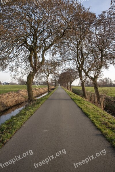 Road Landscape Trees Buitenweg Path