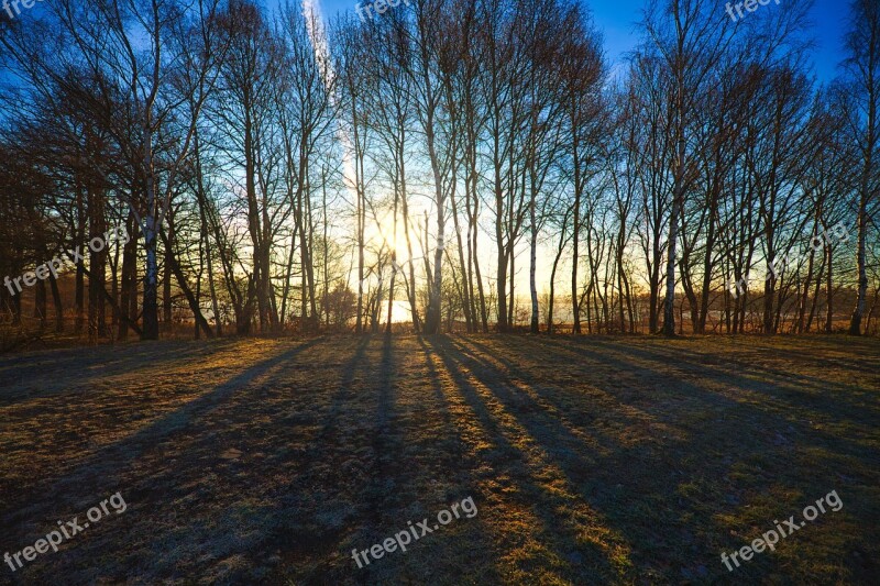 Sunrise Trees Fields Ponds Landscape