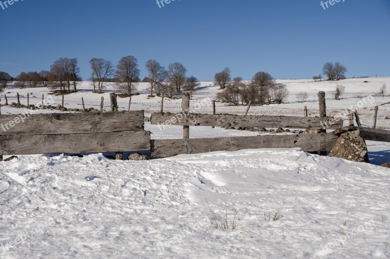 Closing Fields Prairie Breeding Free Photos