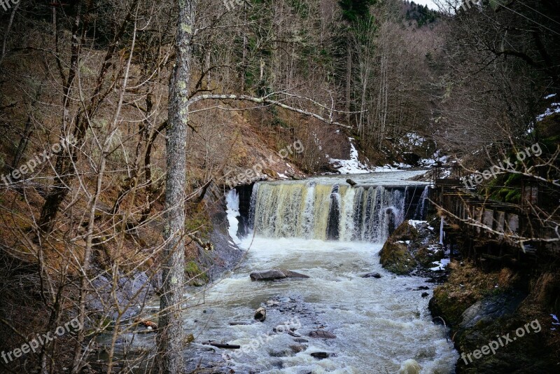 Forest Mountains Waterfall River Mountain River