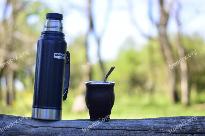 Yerba Green Matt Field Landscape