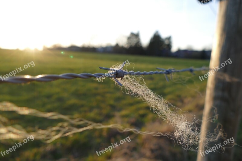 Barbed Wire Fence Wire Pointed Barbed Wire Fence