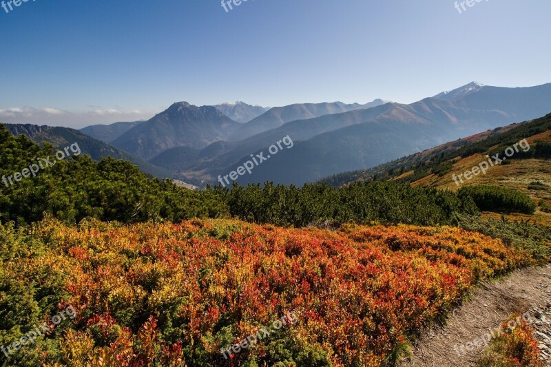 Landscape Mountains Colorful Autumn Misty Kosodřevina