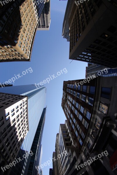 Toronto Financial District Tall Buildings Sky