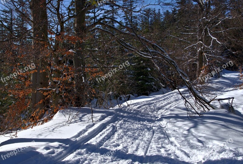 Way Snow Winter Landscape Nature