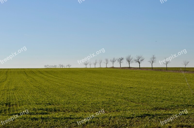 Trees Arable Field Landscape Agriculture