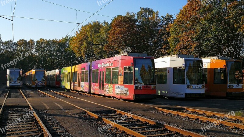 Tram Low-floor Cars öpnv Passenger Transport Rail Vehicle