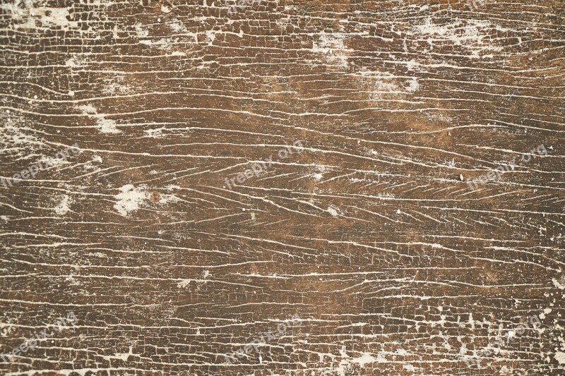 Wood-fibre Boards Texture Wood Parquet Ground